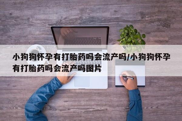 打胎药私人联系方式微信小狗狗怀孕有打胎药吗会流产吗/小狗狗怀孕有打胎药吗会流产吗图片