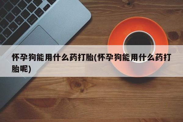 打胎药私人联系方式微信怀孕狗能用什么药打胎(怀孕狗能用什么药打胎呢)